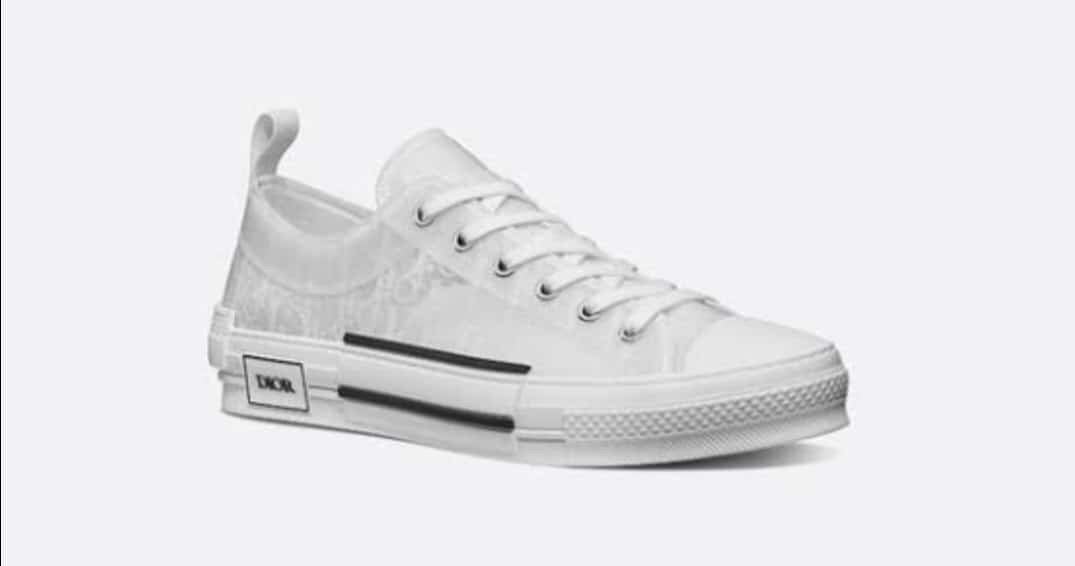 Christian Dior sneakers